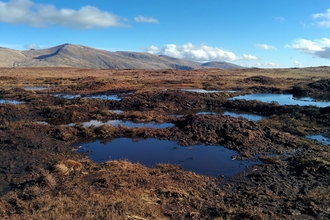 armboth fell peatland restoration 