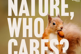 Nature who cares square image