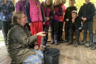 Woman showing a toad to children at a wildlife event