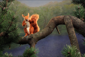 Image of Twiggy the Red Squirrel animation on a branch