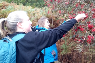 volunteers being trained to gather seeds from trees