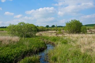 Photo of river in the middle of a field with long grass. The sky is blue