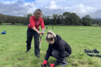 image of two females plug planting in field