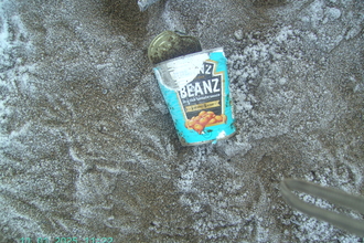 Frozen empty beans can