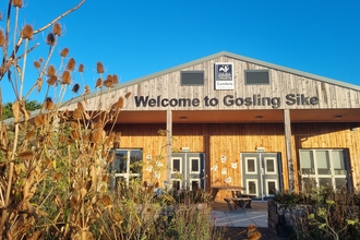 The front of a single-storey wooden clad building saying Welcome to Gosling Sike.  Long stemmed teasel is in the corner.