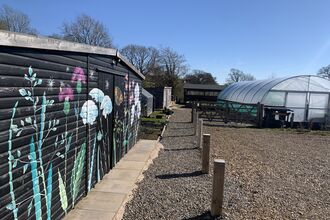 A wooden building painted with wild flowers, next to a polytunnel and with a blue sky.