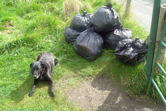 Black bags piled up awaiting a trip to the recycling station