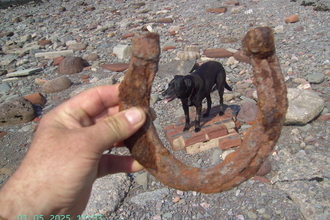 Discarded horseshoe