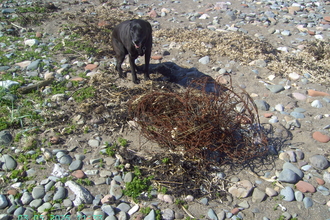 Rusty mesh wire used for a gambion