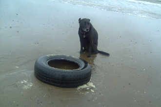 Washed up car tyre