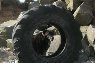 Large Tractor tyre washed up on the Beach