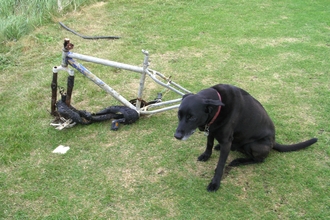 Broken bike found on the beach