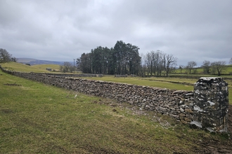 A repaired drystone wall disappearing into the distance across a field, with a lichen covered drystone wall post to the right.
