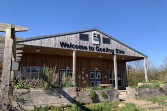 The front of a single-storey wooden clad building saying Welcome to Gosling Sike.  Long stemmed teasel is in the corner.
