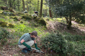 Person doing conservation work at Hall Brow Work party - Rusland Local Support Group