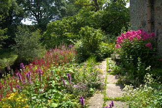 Photo shows a variety of colourful flowers and a pathway, with trees in the background.