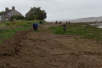 Volunteers collecting rubbish from the beach