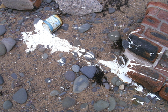 Oil Paint can spill onto the beach