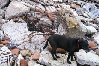 Shopping trolley recovered from the beach
