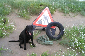 Car tyre and road sign found on the beach