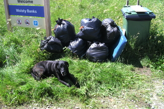 Several black bags and wheelie bin full of rubbish collected