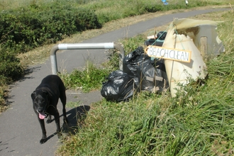 Roly the dog guarding the day's spoils