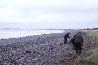 Volunteers at the beach during storm Amy