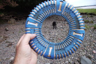 More plastic from the beach