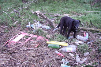 Lots of debris washed up on the last tide