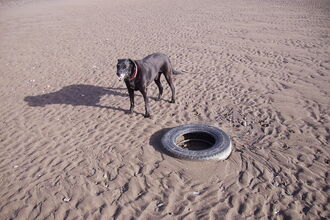 Car tyre burried in the sand