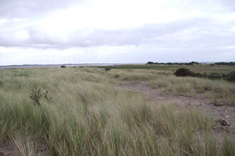 The open expanse that is Grune Point beach