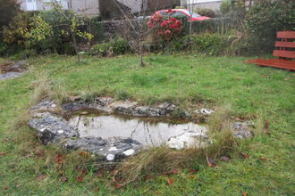 Photo shows a small pond surrounded by rocks in a garden
