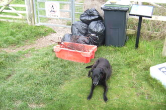 various detritus including eight black bags of spoils