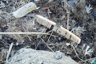 Old plastic comb washed up