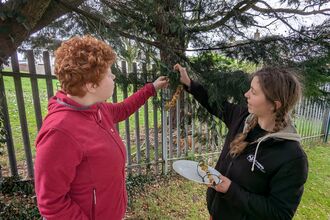 Young people putting out bird seed onto a tree