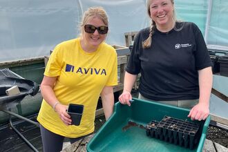 Aviva staff member with Cumbria Wildlife Trust staff member stodd in front of a tray of plug plants