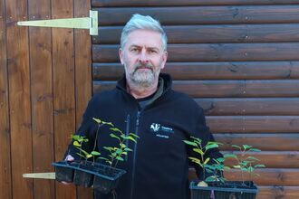 Staff member holding tree saplings
