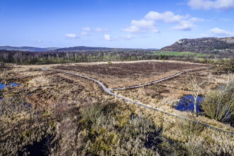 Foulshaw Moss Nature Reserve peatland bog on a blue sky day