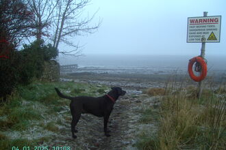 Frosty, foggy start to the beach clean