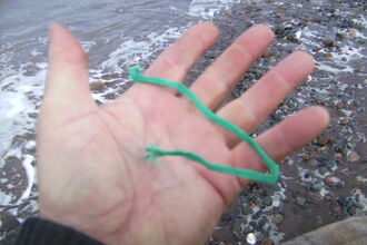 Green nylon cord recovered
