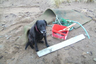 Various large plastic items recovered