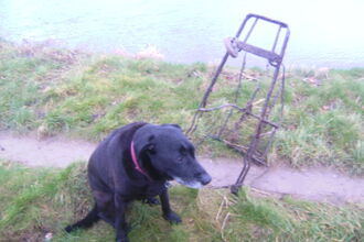 Roly the dog guarding an old shopping trolley thats been washed up
