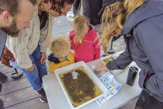 pond  dipping at cold springs