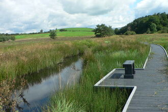 Burns Beck moss nature reserve credit Sylvia Woodhead