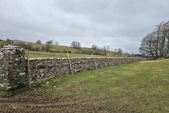 A newly refurbished dry stone wall in a green field with wooden fence posts against it.
