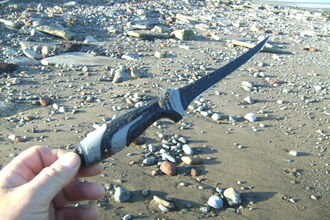 Sharp filleting knife found on the beach