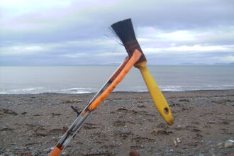 Yellow paint brush washed in on the tide