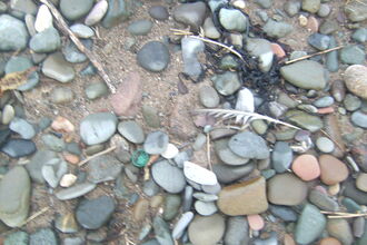 Hidden rubbish on the beach