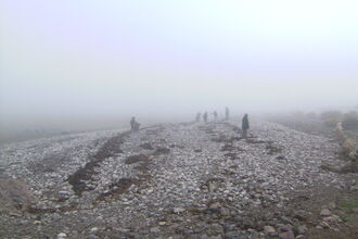 Foggy morning on the beach