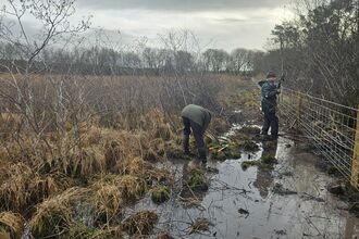 Two volunteers working in front of a post and wire fence on wetland